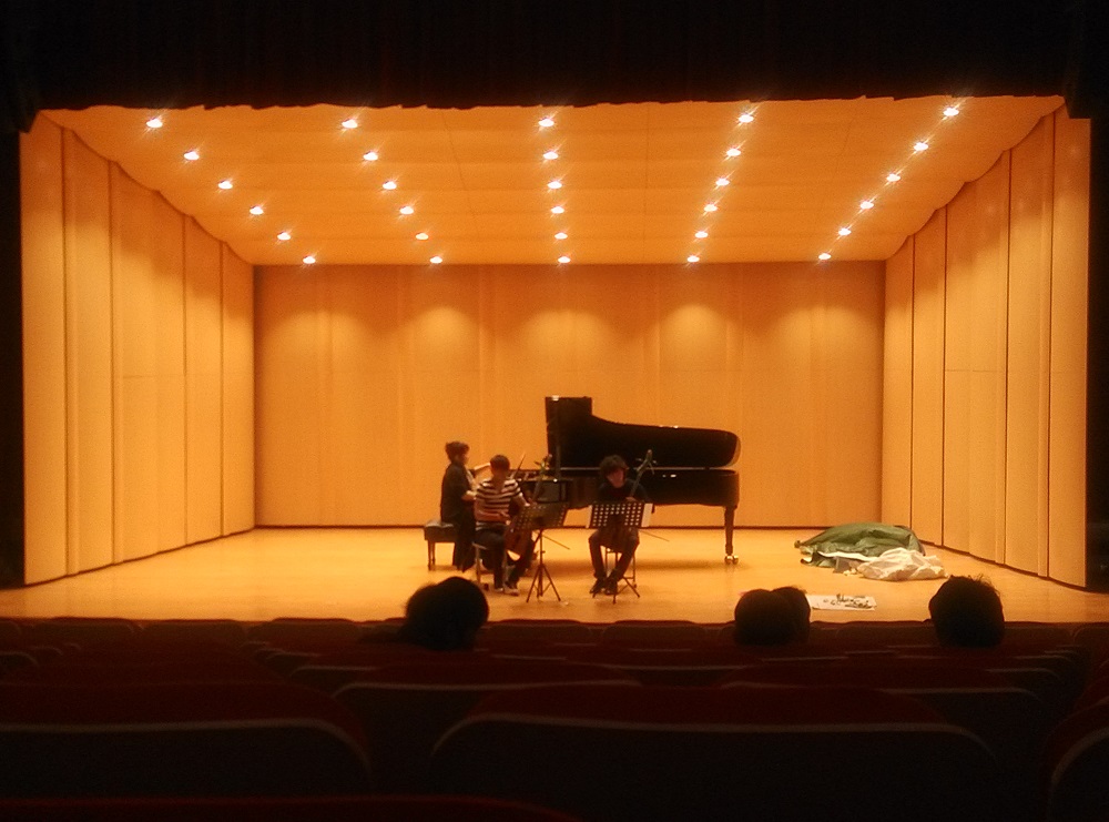 锡林郭勒国际马头琴学院音乐厅反音板